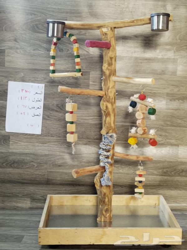 Wooden natural bird stand for all types of birds63312166676865113