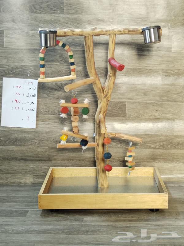 Wooden natural bird stand for all types of birds63312166676865111