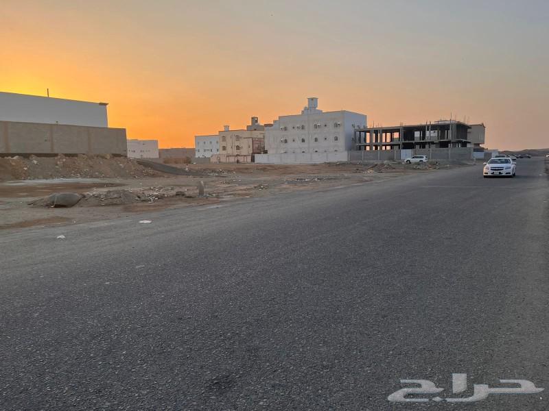A distinctive residential land near the main street63006136623875112