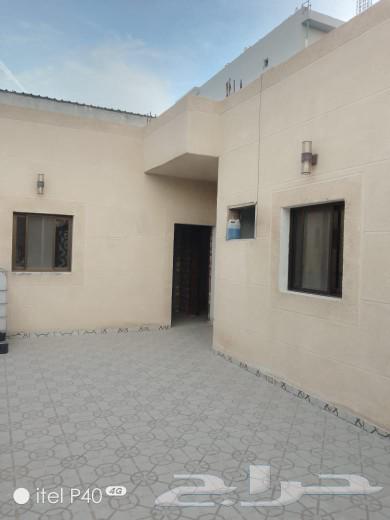 Bachelor apartments for rent and rental rest house in the seventh district 1263006195429249111