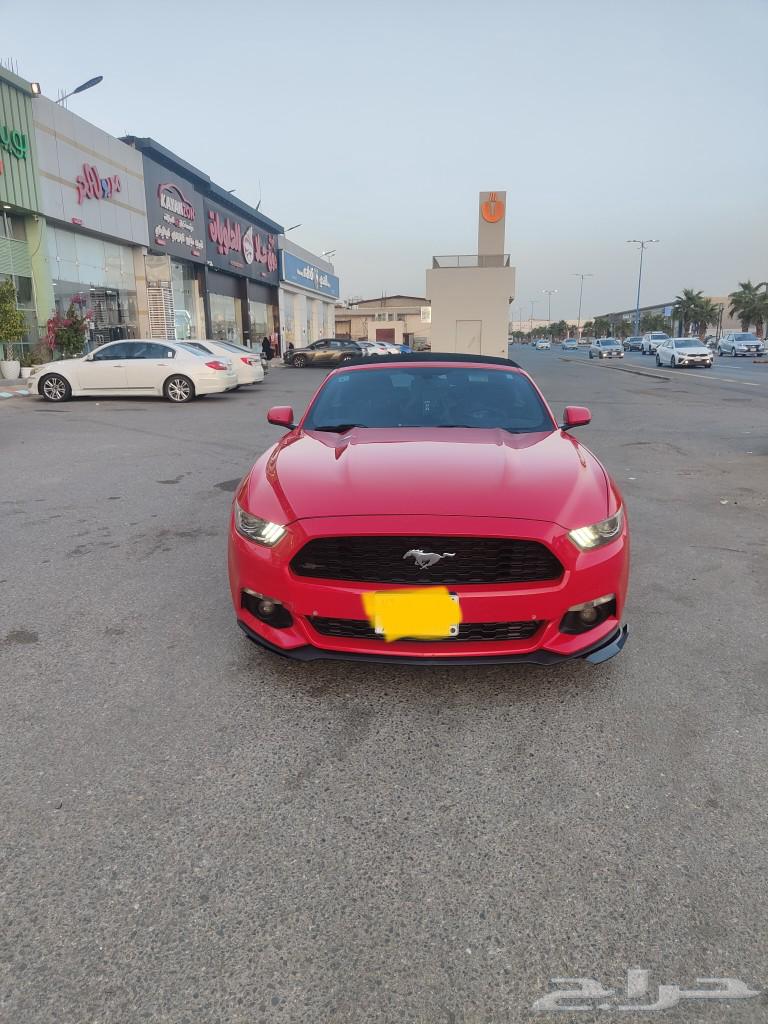 موستنج201763617083394049114