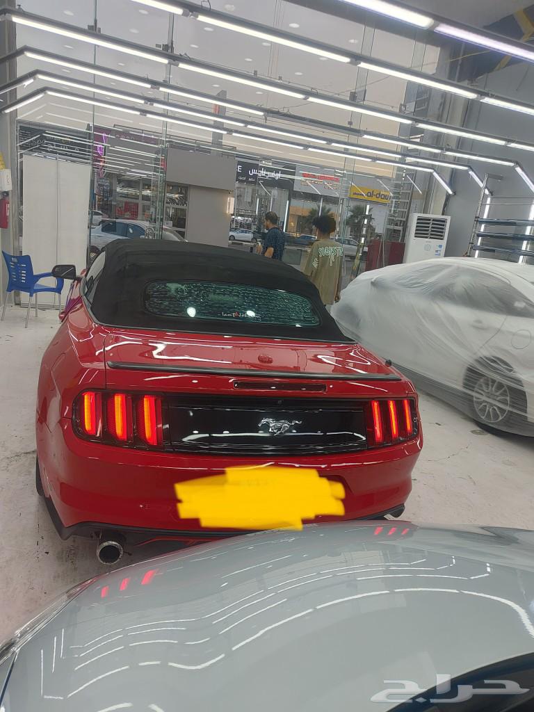 موستنج201763617083394049112