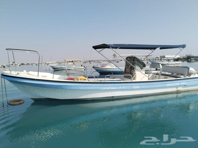 رحلات صيد فردي وعائلات بمستوره630061976924181128