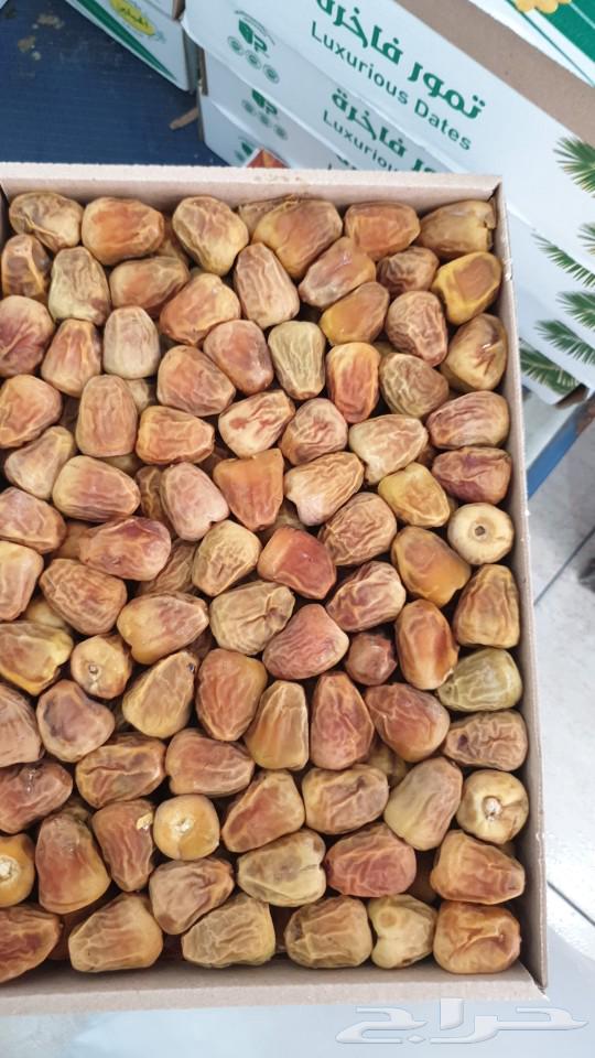 Dammam63617257563265111