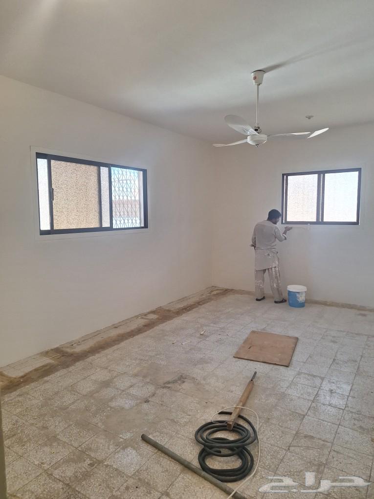 Decorative Sealant63026639036930111
