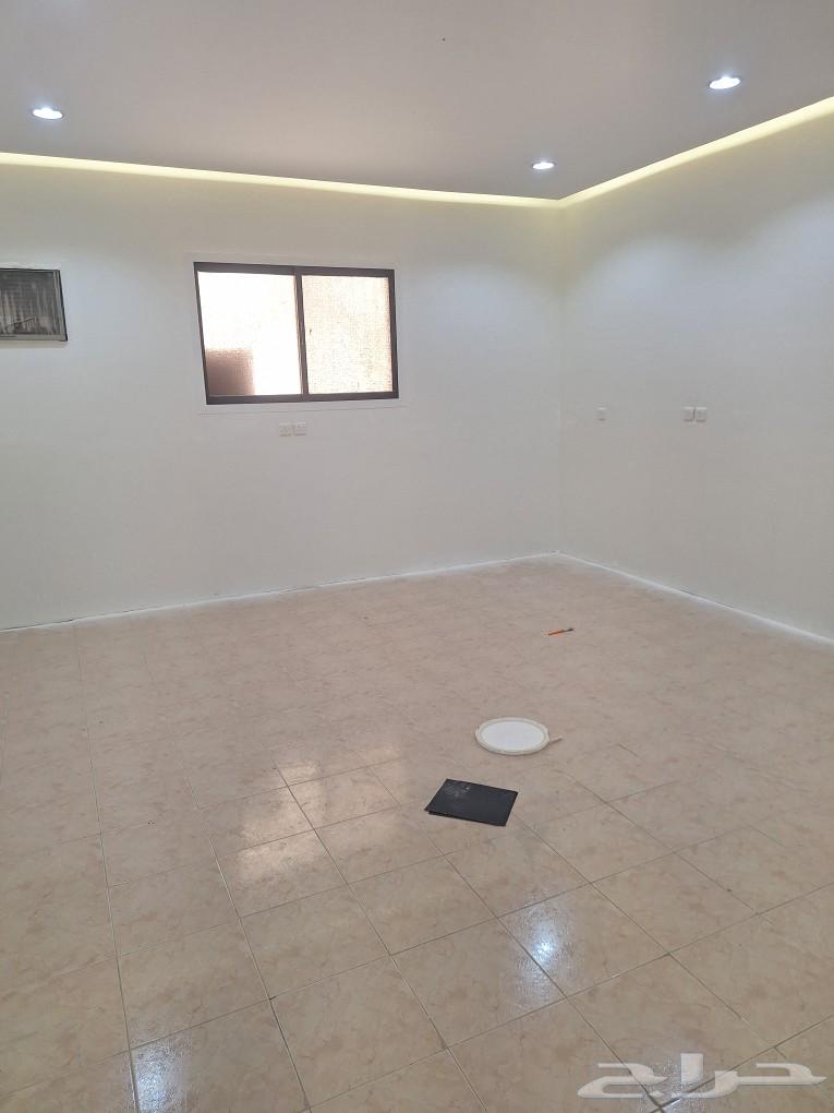 Decorative Sealant630266390369301125