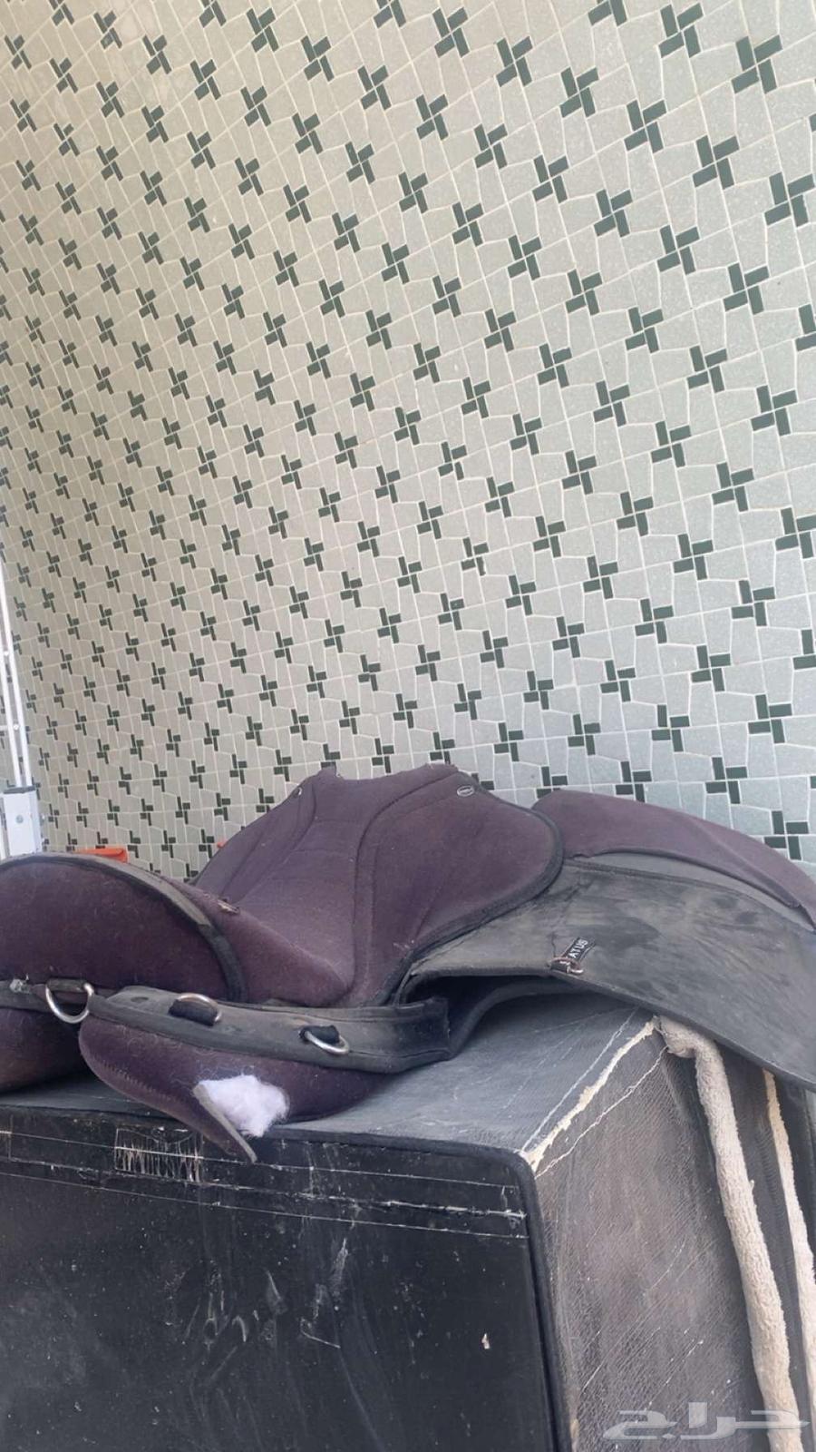 سرج للبيع64651683886082111