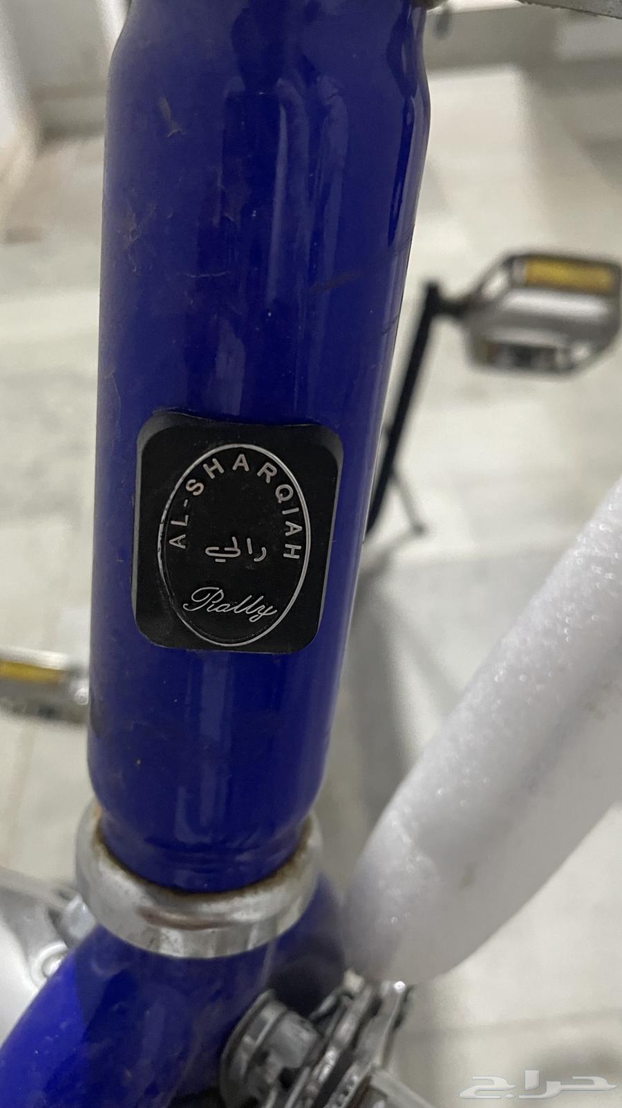 Rambo Size 2064653716050561111