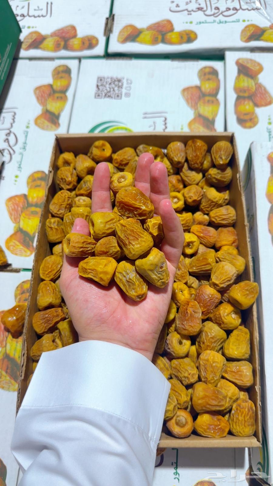 تمر مفتل سكري ملكي فاخر انتاج السنة ب 45 ريال شامل التوصيل64655020923265113