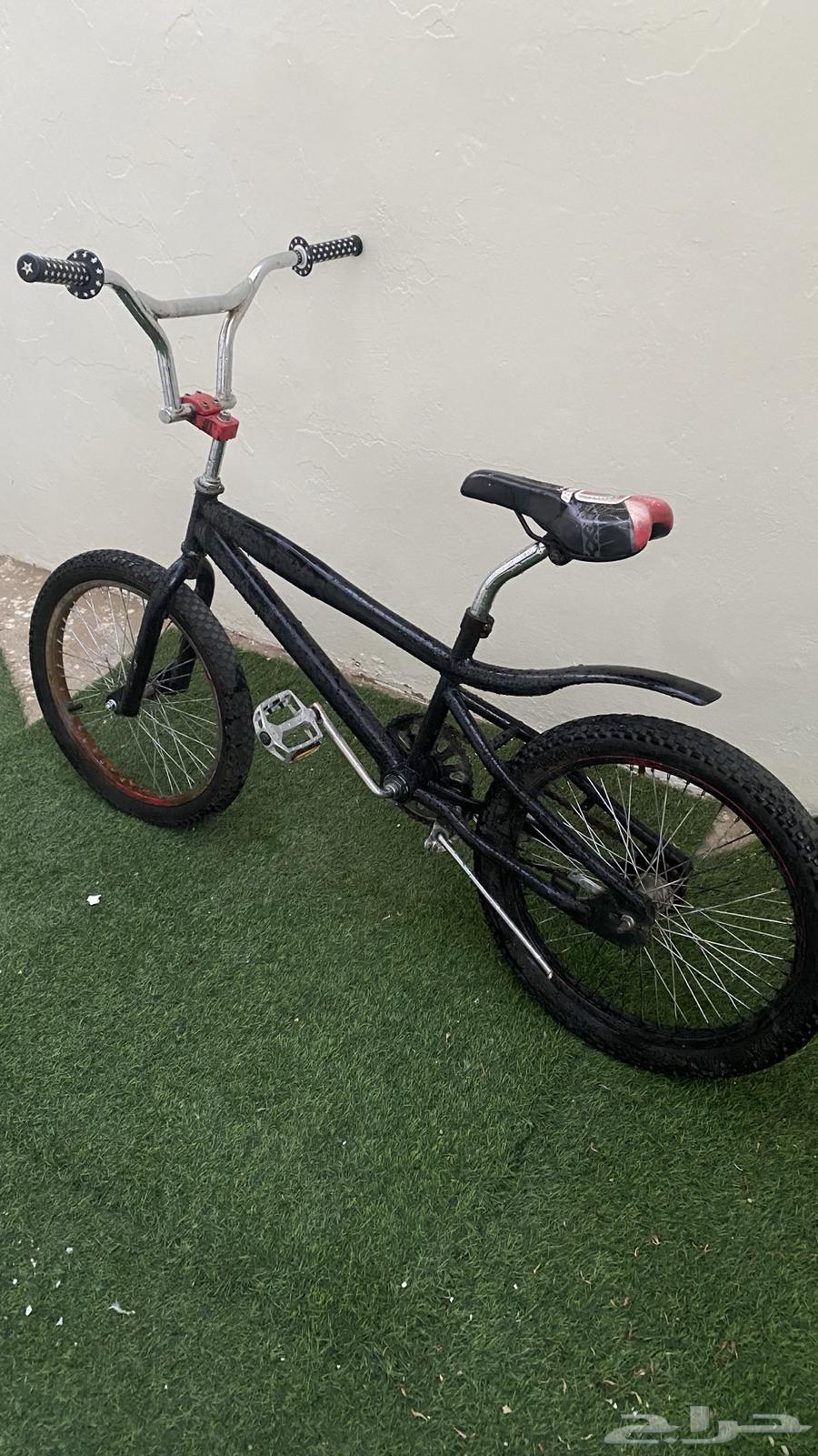 سيكل كوبرا للبيع64648350271362110