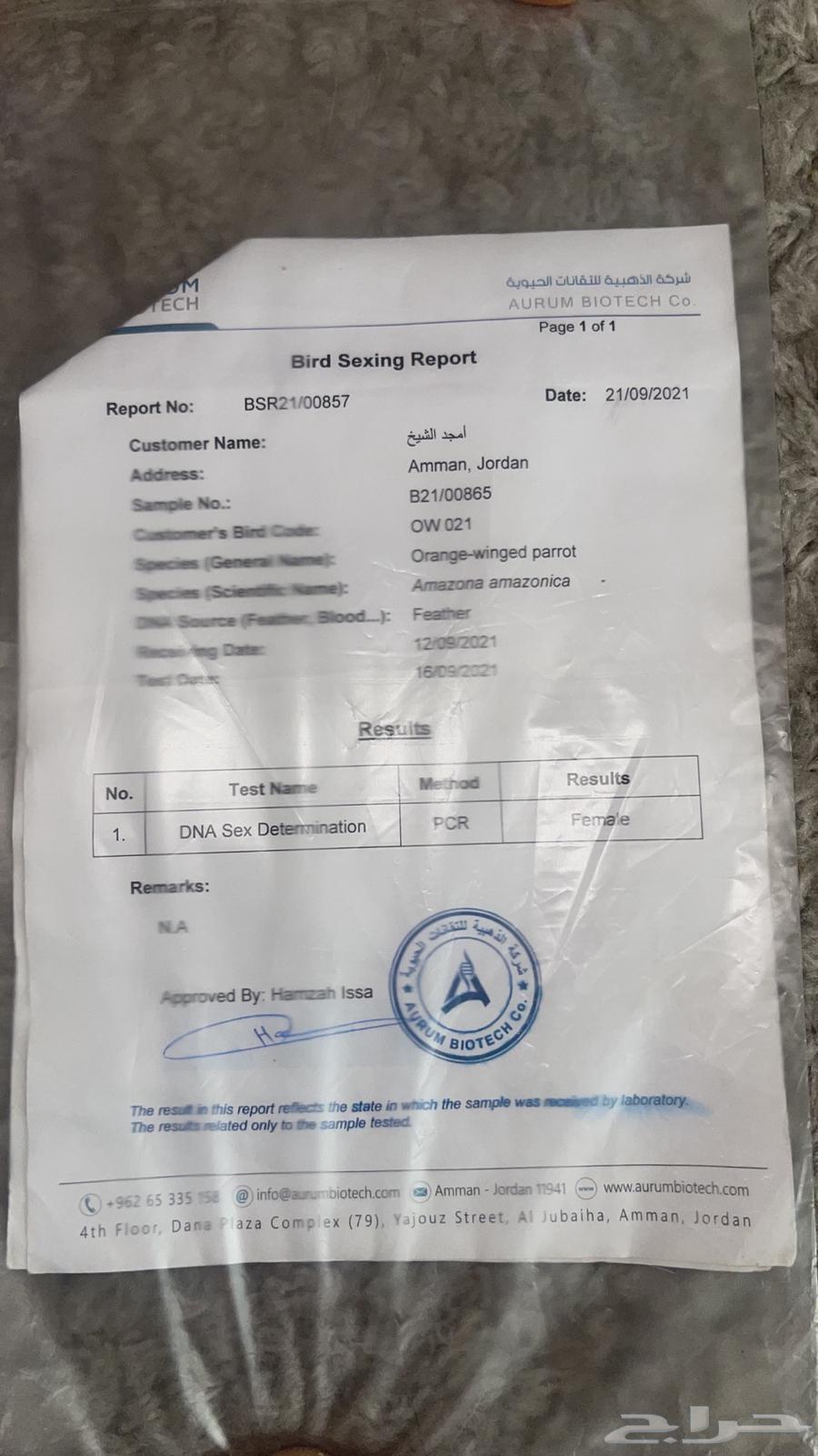 زوج امازون اورانج وينجد64651759542017113