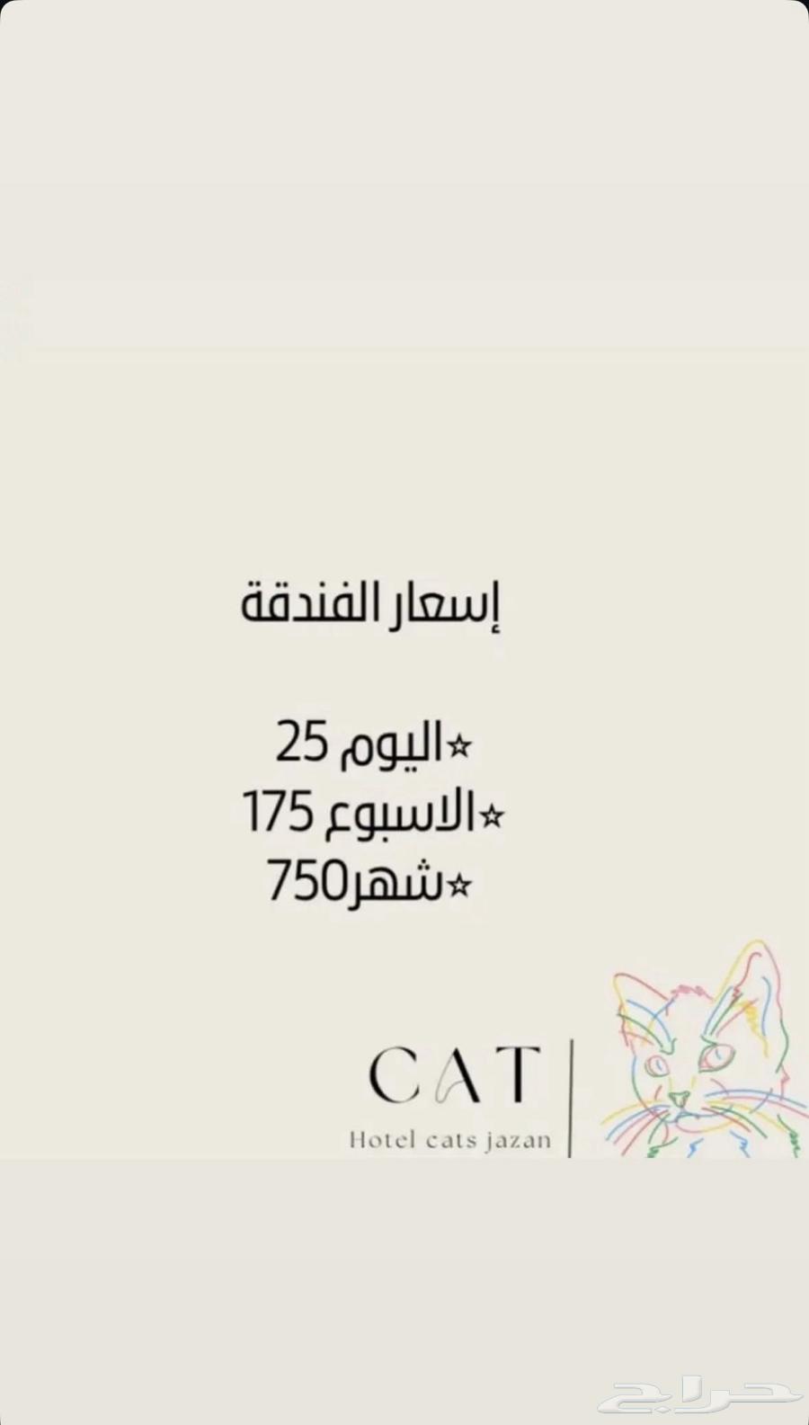 فندقة قطط جازان64165796574337111