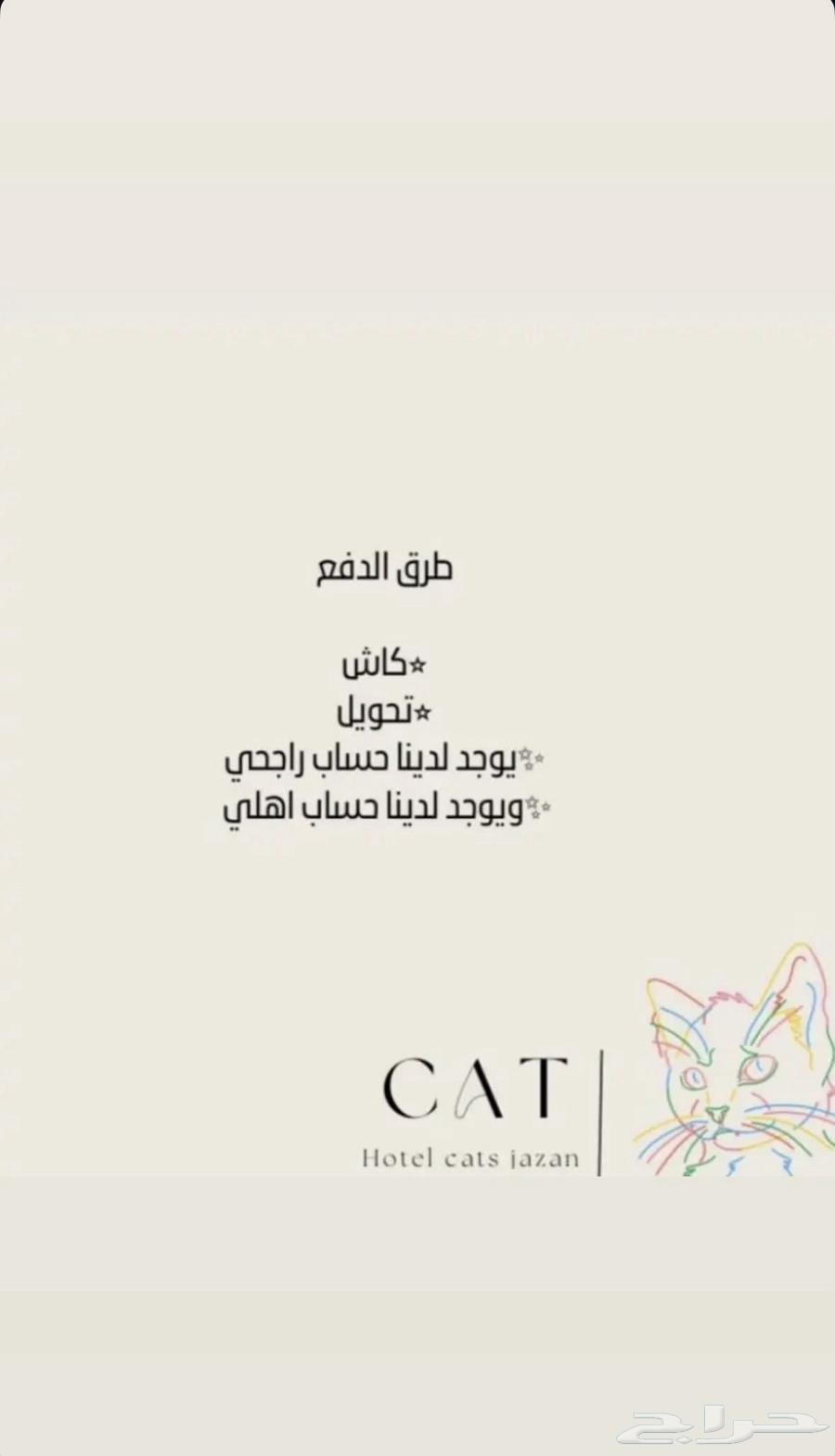 فندقة قطط جازان64165796574337114