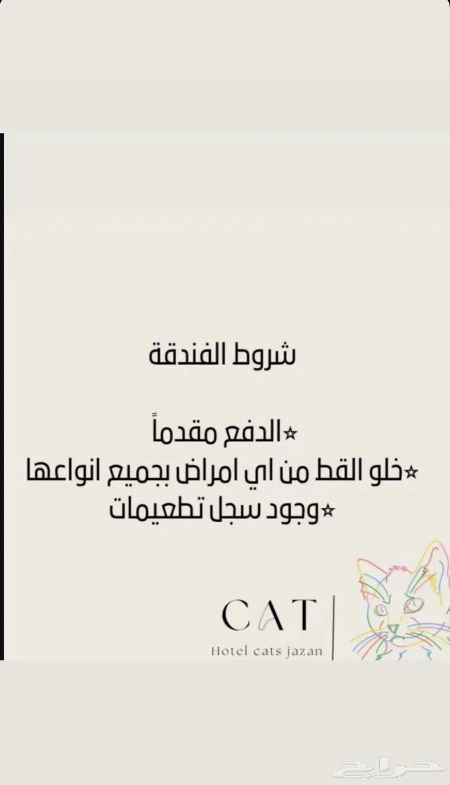 فندقة قطط جازان64165796574337113