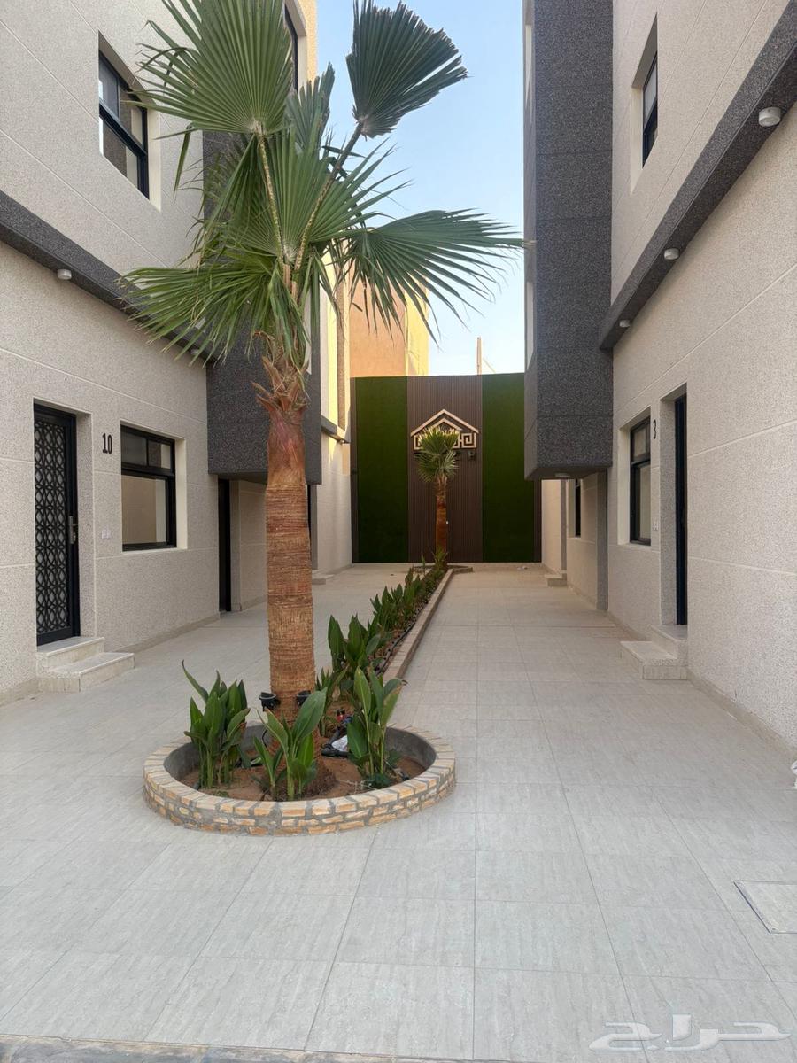 شقة للإيجار