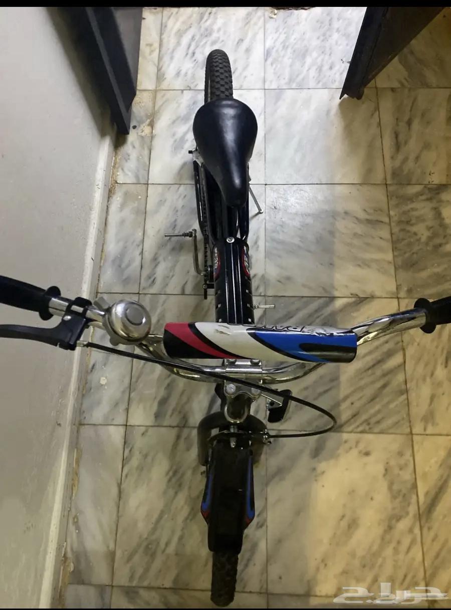 Rambo Cycle, the New Brother, Agency Status64651219489665112