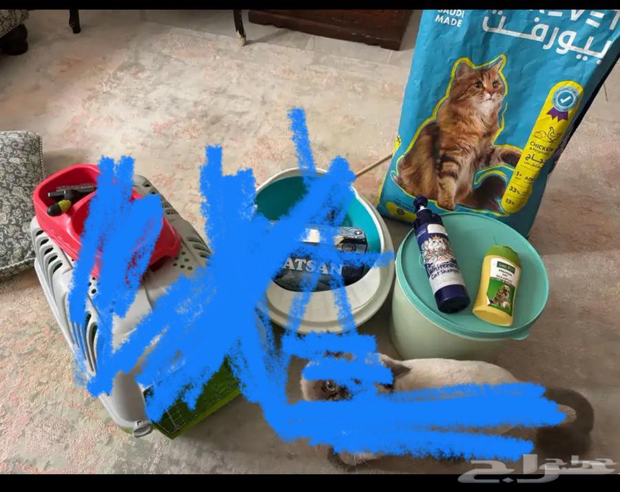 اغراض قطة للبيع64530997193345111