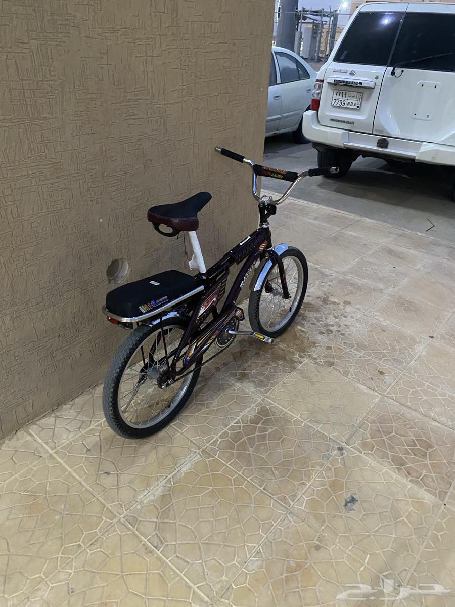 رامبو عنابي اندنوسي اخو الحديد64652010389633111