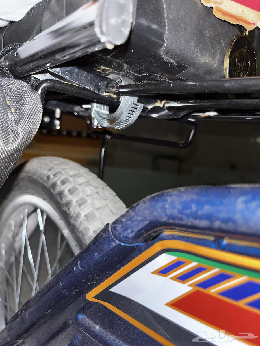 للبيع سيكل رامبو كحلي64595821167105112