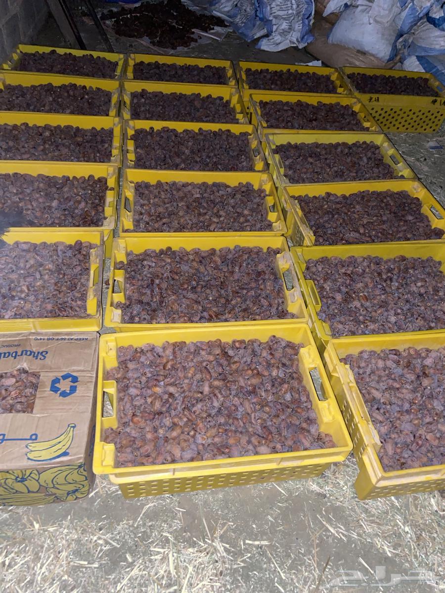 تمر خلاص اخلاص للبيع بسعر 65 للصندوق64618476767618110