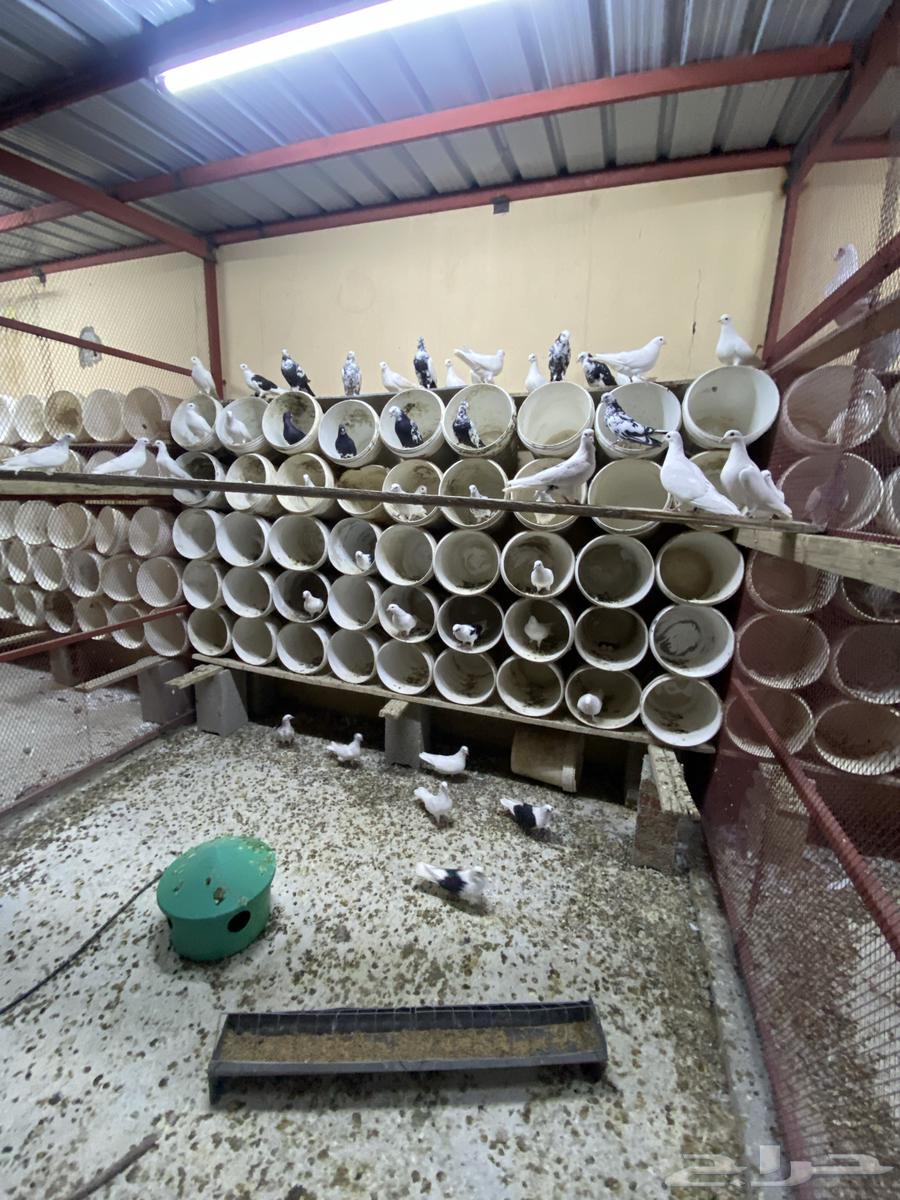 Bath64654821180930112