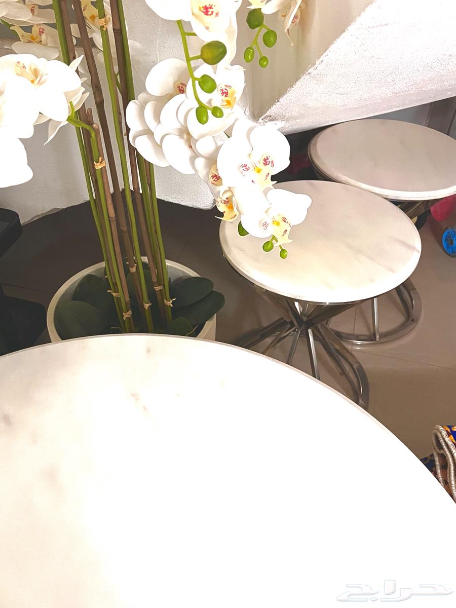 Elegant Coffee Table Set with 4 Side Tables64653021731841111