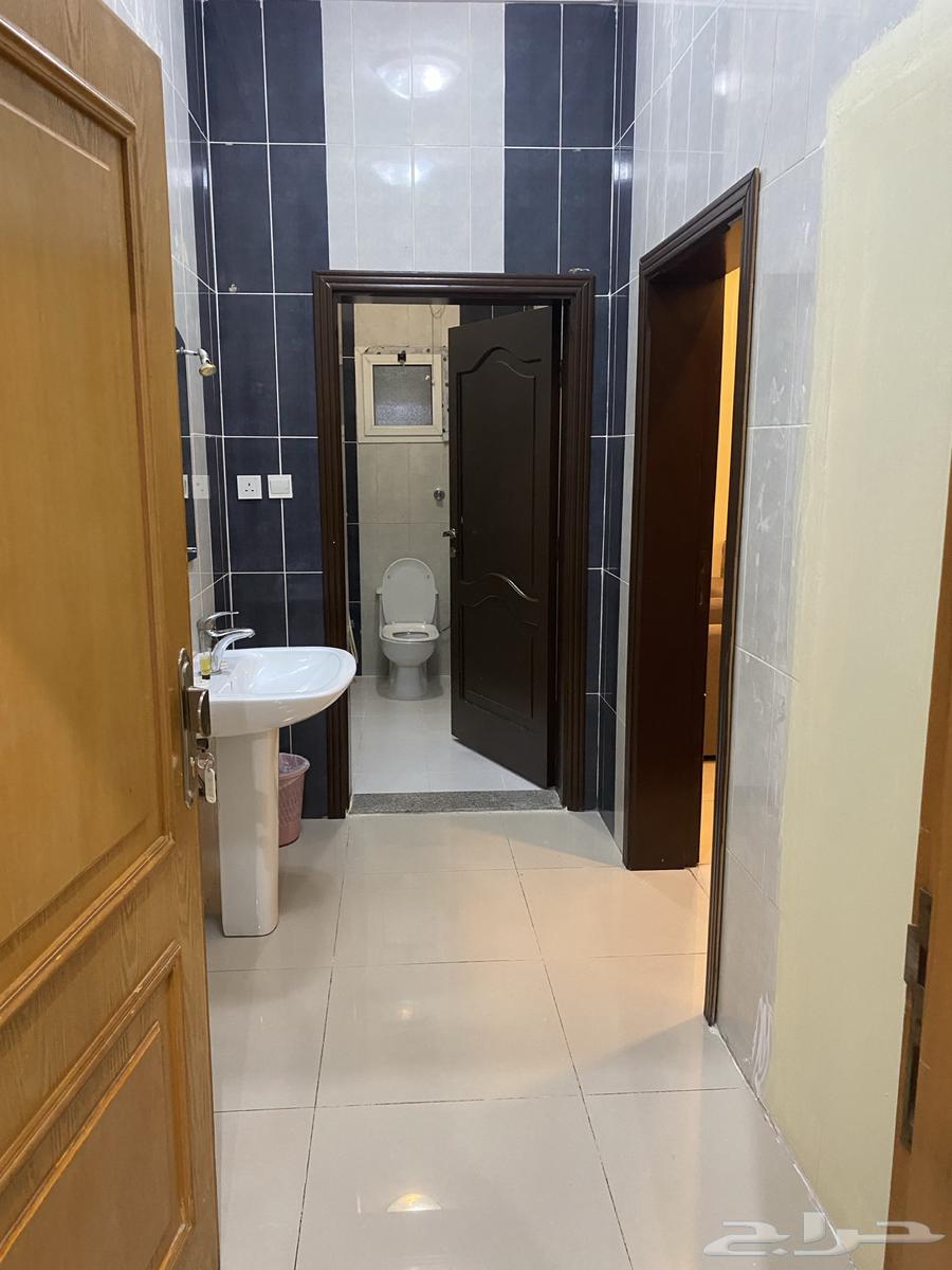 شقق مفروشه للإيجار الشهري حي الوزيريه شارع المرور64148939613441114