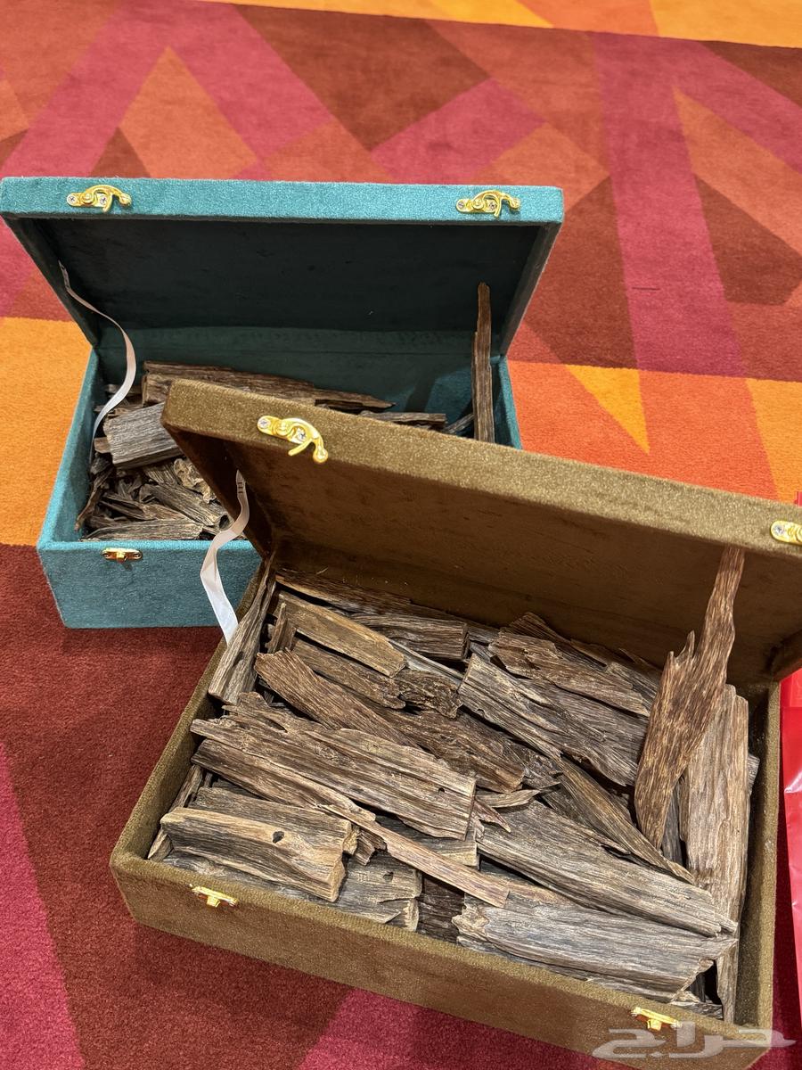 عود هندي64647806563842111