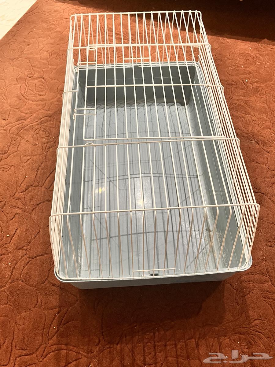 قفص قطاوه64653186642819113