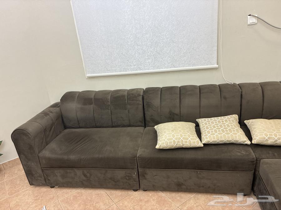 كنب صالة زاوية كبير و نظيف64563743821954111