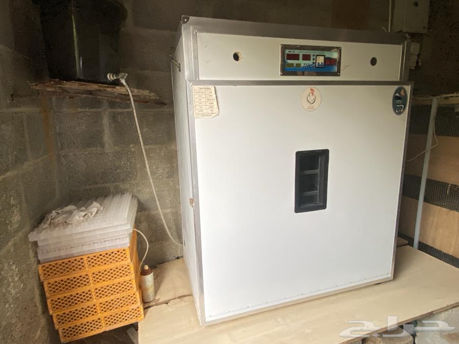 فقاسة مفقسة وفي نفس الوقت حاضنة64655706734979110