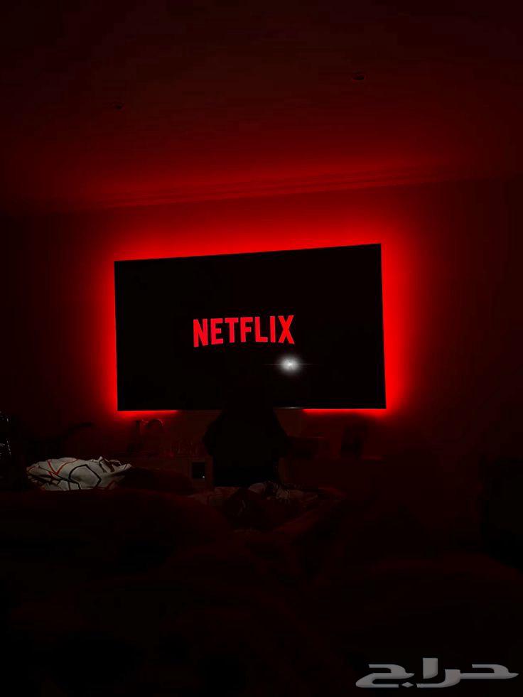 اشتراك نيتفليكس شهر كامل64656380168834110