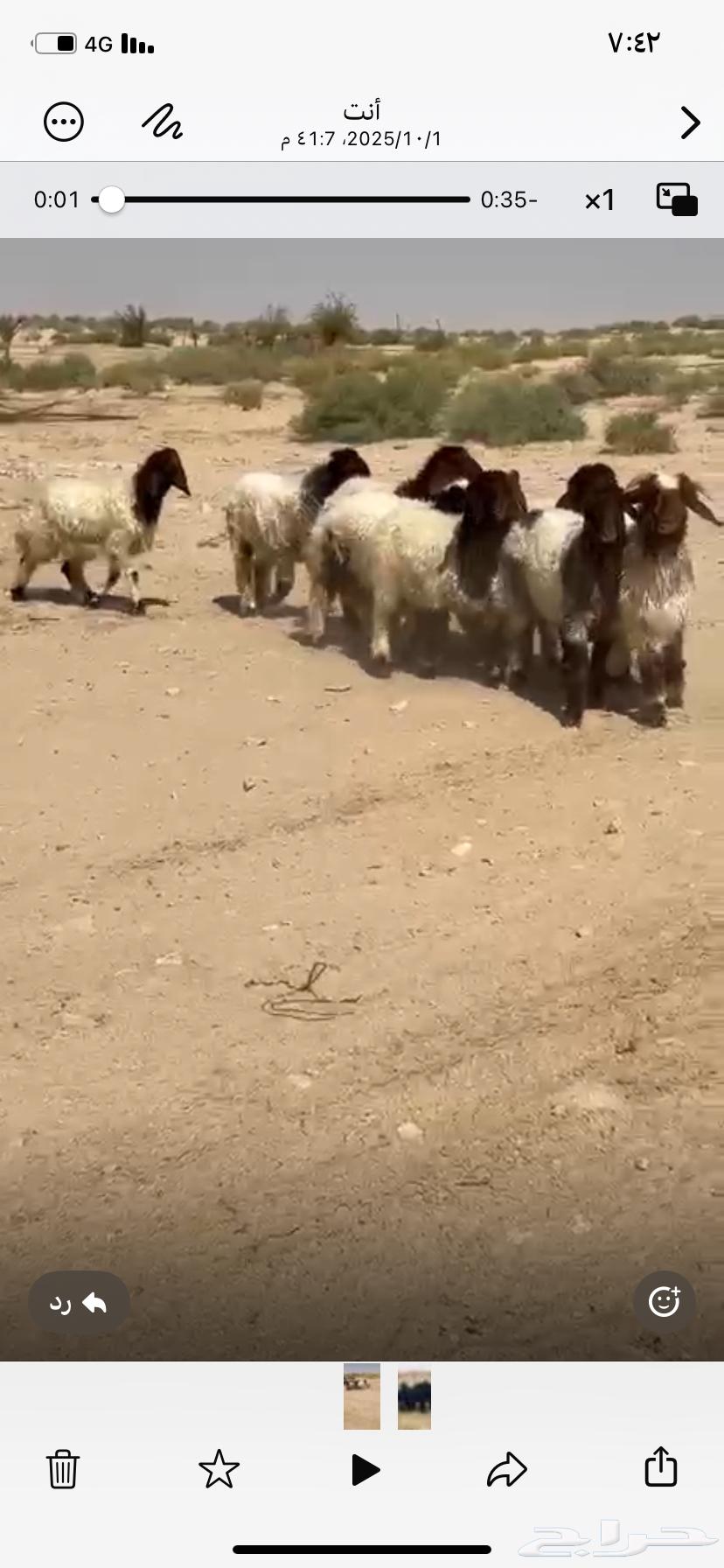 هرافى العدد 9 التوصل واتساب او مكالمه64654345283458110