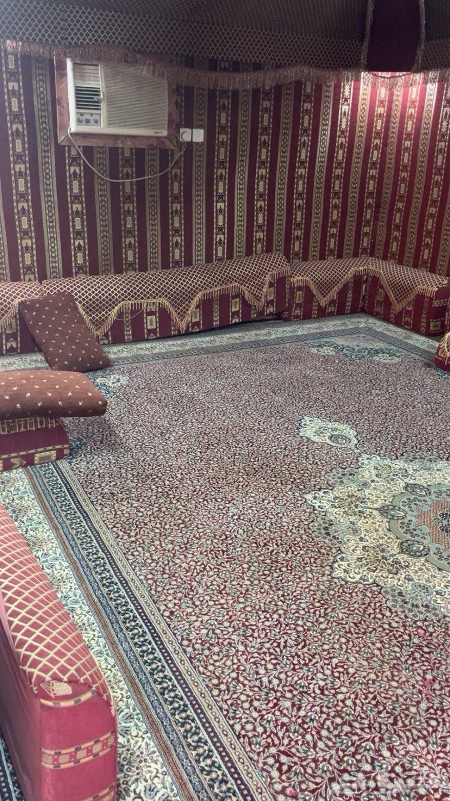 بيت شعر للبيع بالمدينه64655320974722112