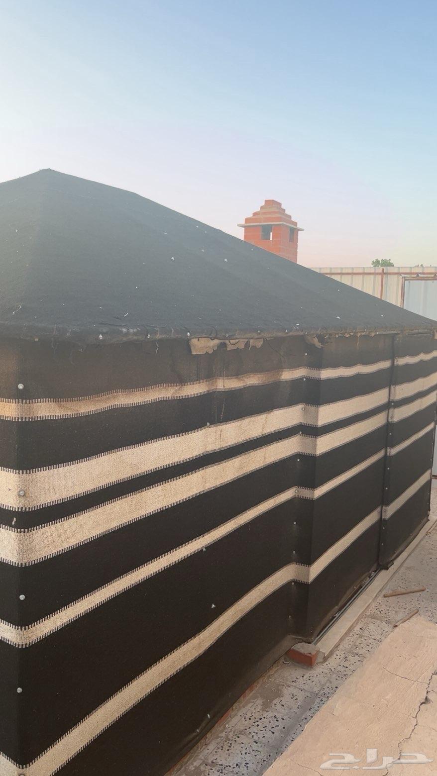 بيت شعر للبيع بالمدينه64655320974722110