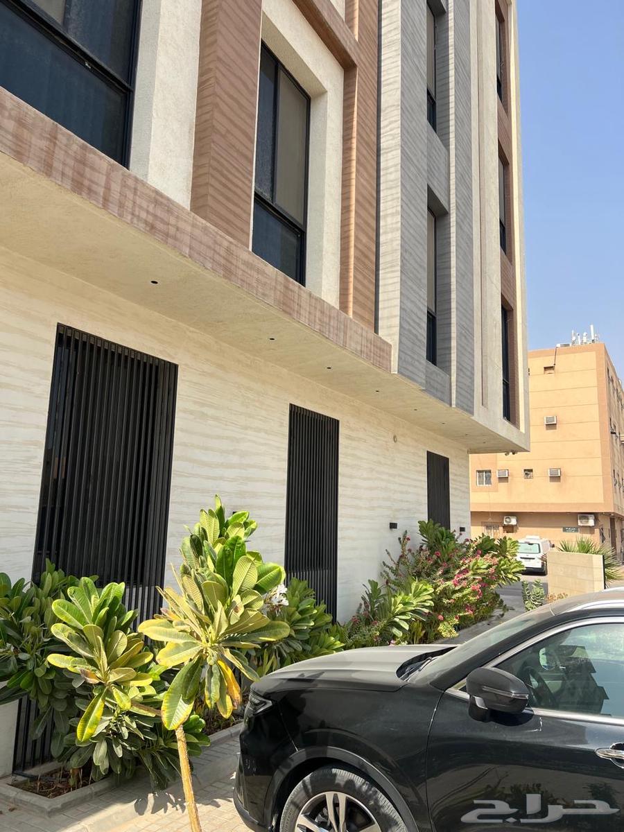 شقة للإيجار بحي المونسيه64149186162178114