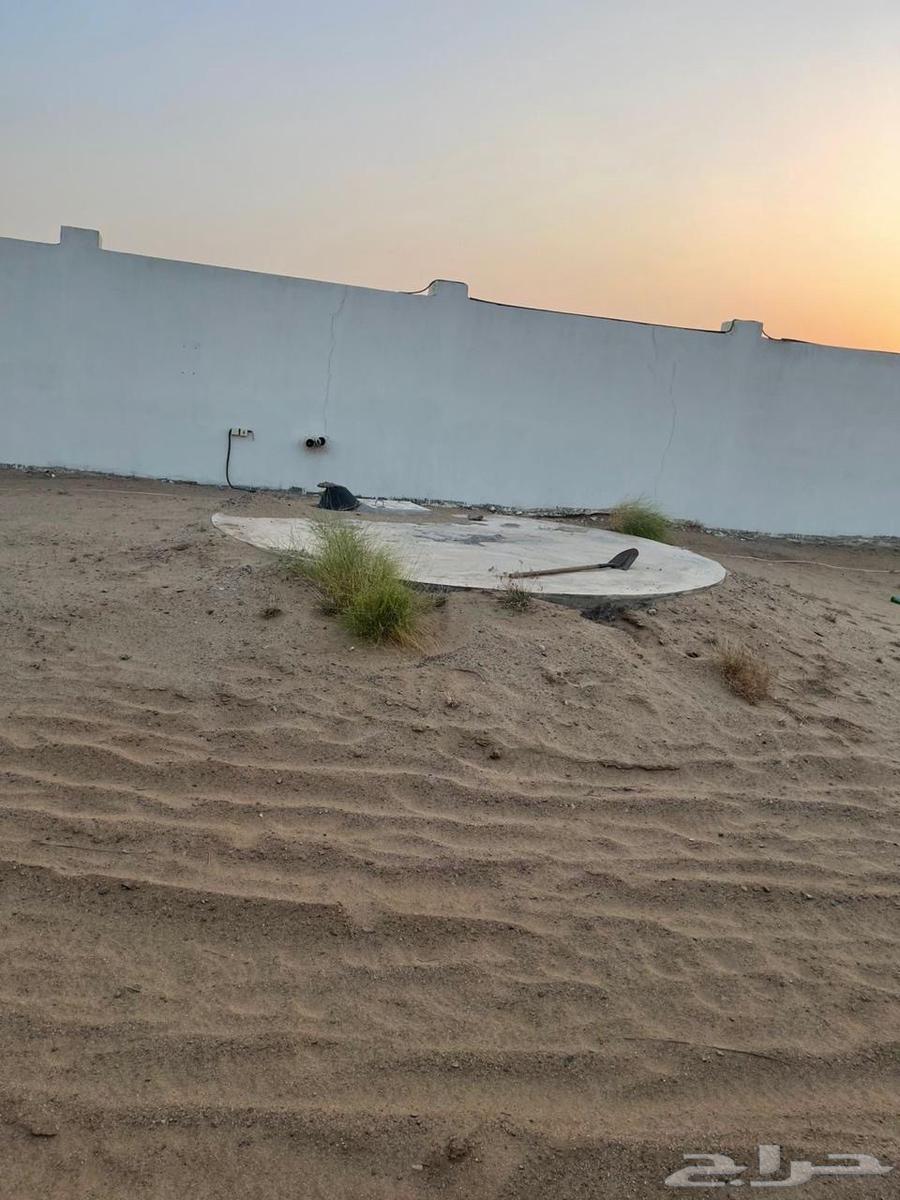 مزرعه بالغولاء عسفان64149183444609113