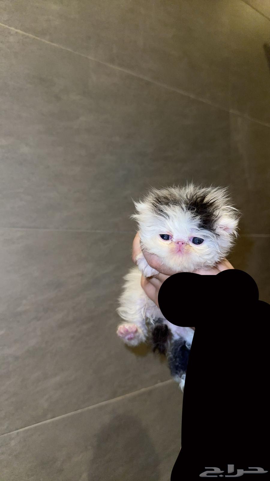 Reserved64606148471938113