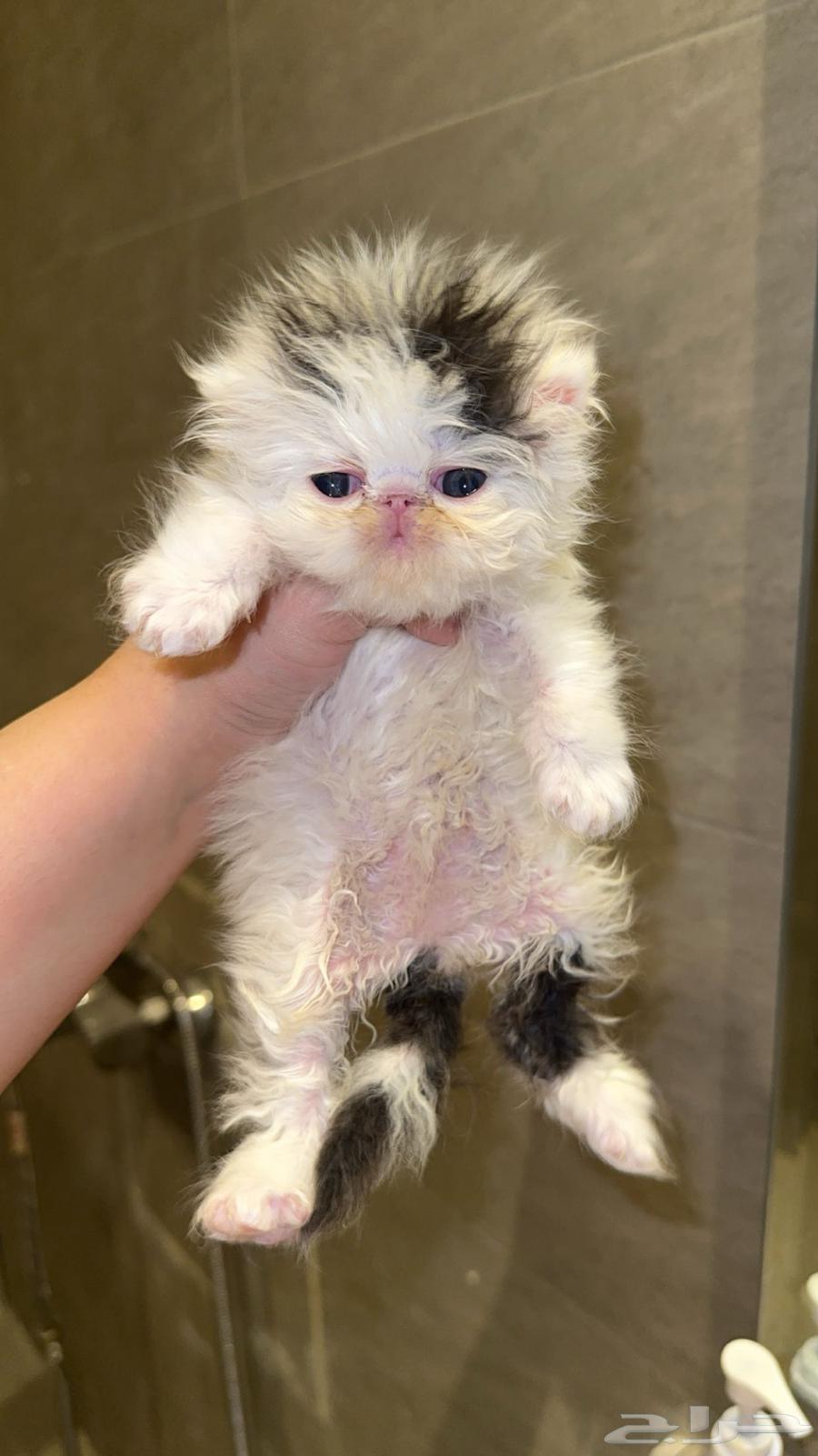 Reserved64606148471938110