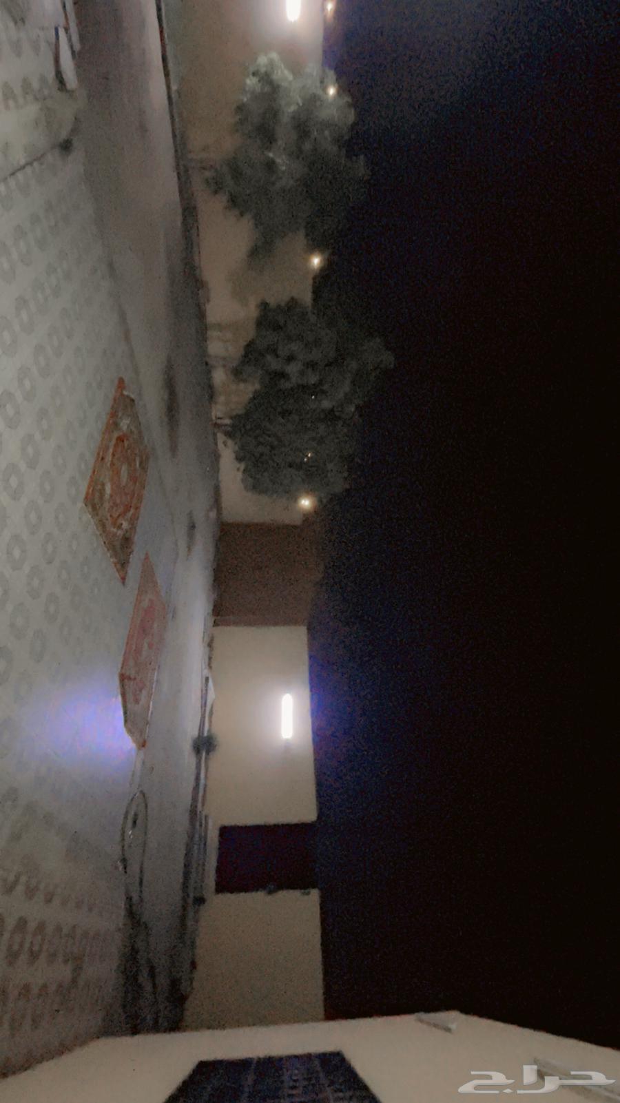 استراحتين للايجار تحت كبري بيشة64149647577091110