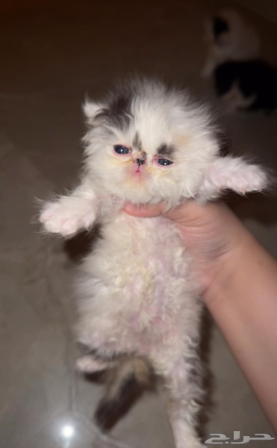 Reserved64593485019395110