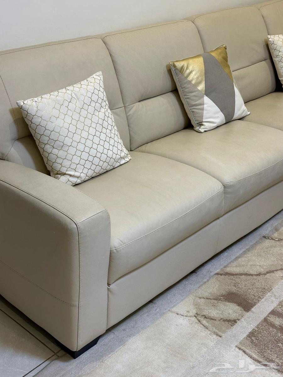 كنب زاوية جميل64660630704771111