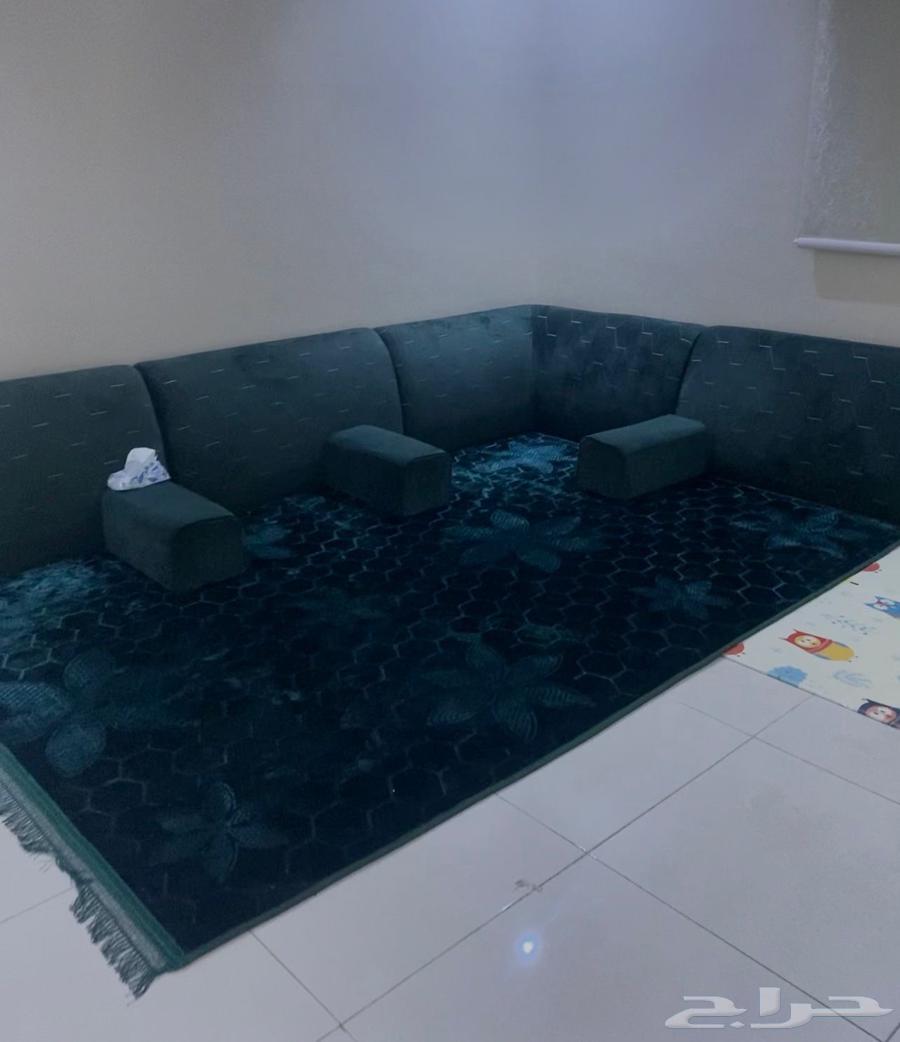 Floor Seat and Backrest64665458122753110