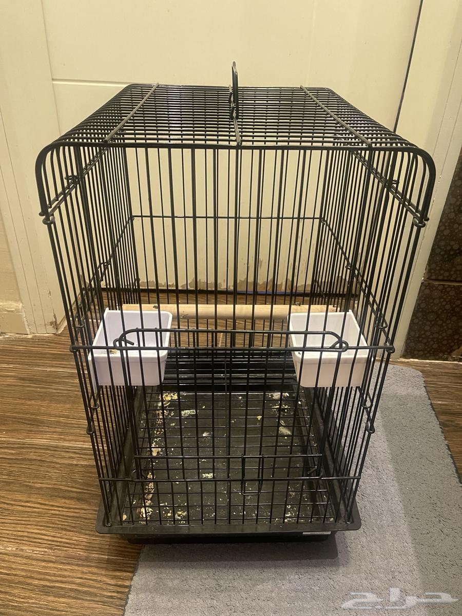 قفص طيور64662598702722110