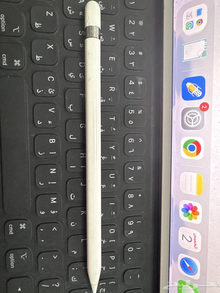 Apple Pencil (1st generation)64657139977218110