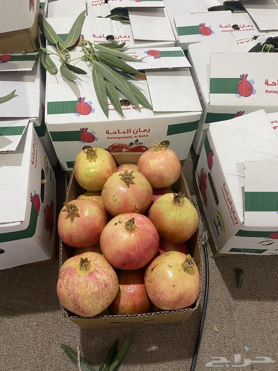 يوجد لدينا رمان بيده من المزرعة الخاصة بنا64660718915971110