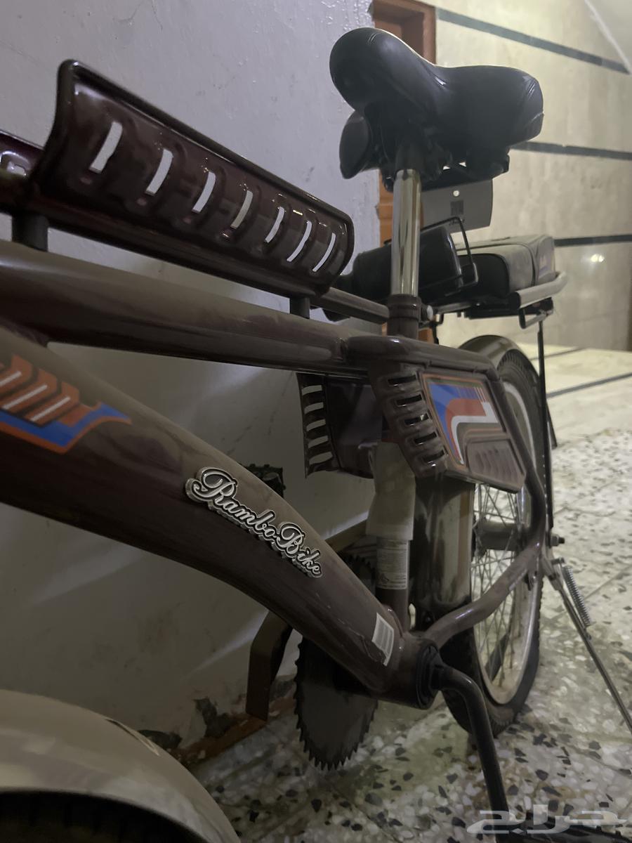 دراجه رامبو مقاس 2064664118171139113