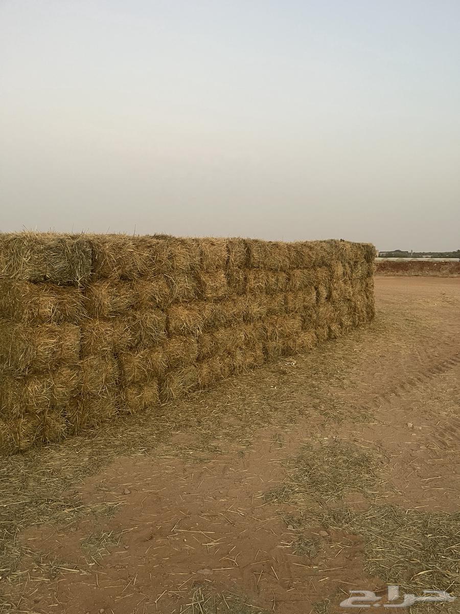 اعلاف بلوبنك جديد64467101862147110