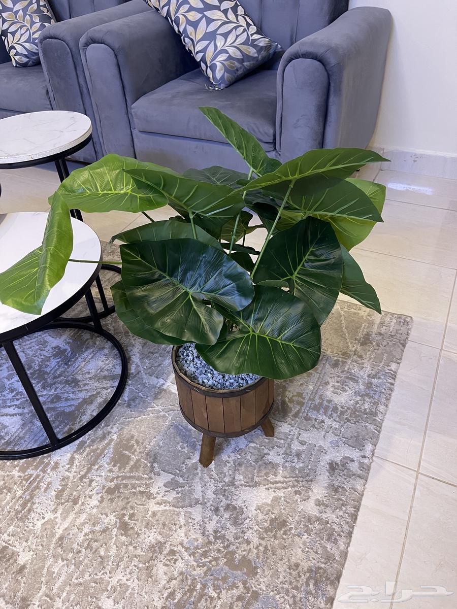 كنب 8 اشخاص نظيف جدا شبه جديد السعر 55064656866918915111