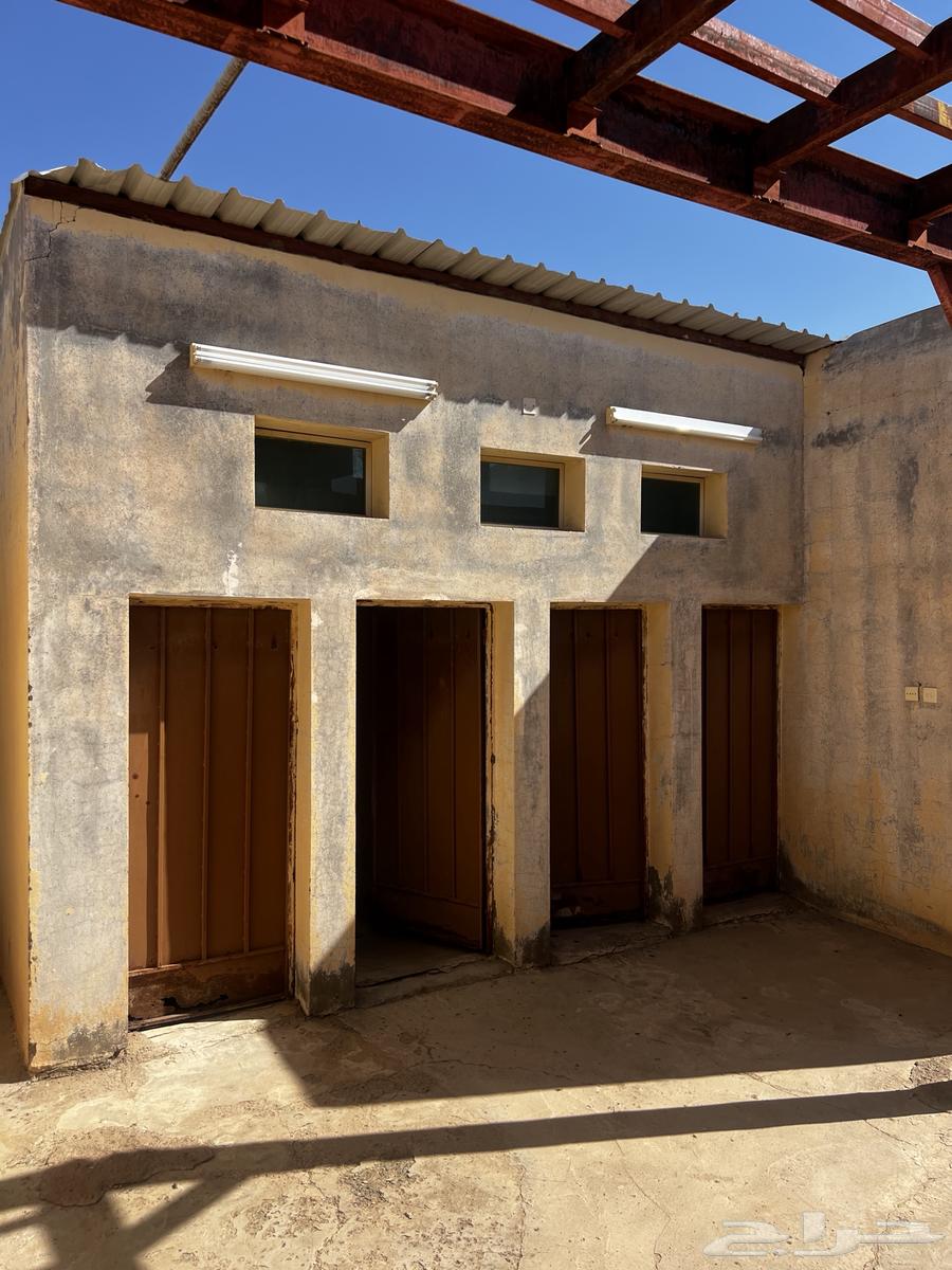 Warehouse for rent construction maintenance operation parking workers housing for rent64145688312961113